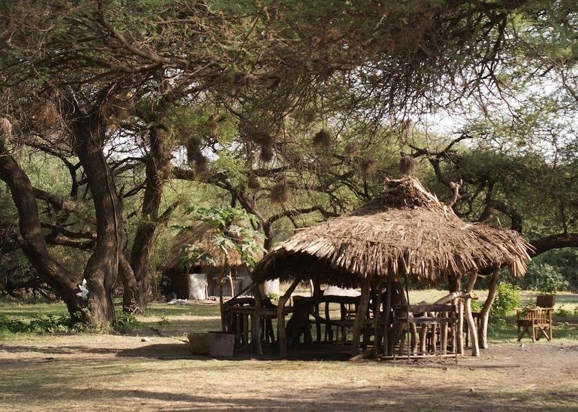 Arusha Region Ngorongoro Exterior Detail