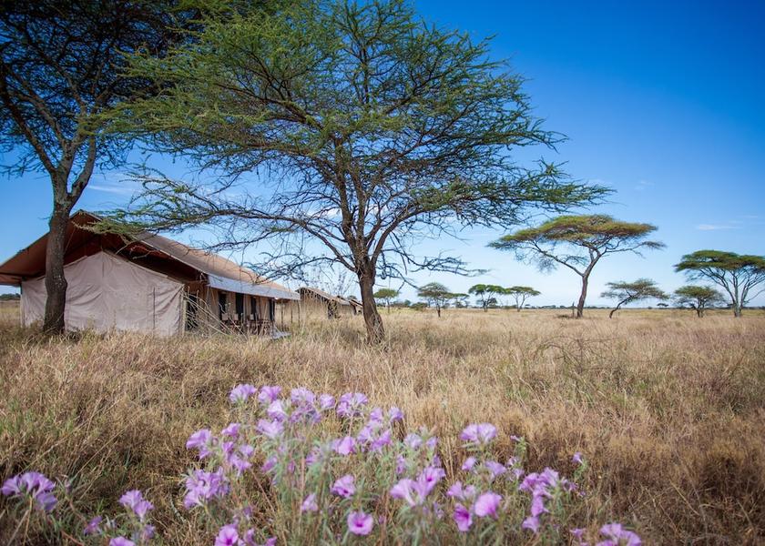Mara Region Serengeti Exterior