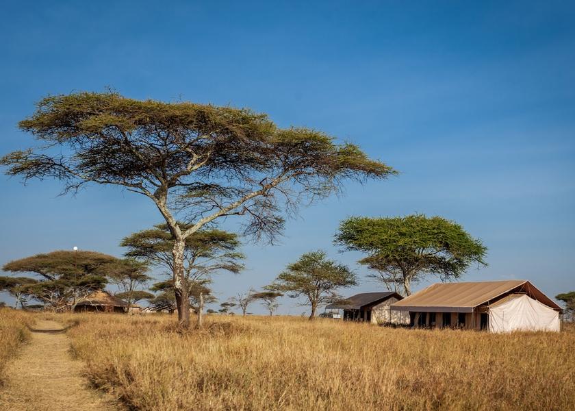 Mara Region Serengeti Property grounds