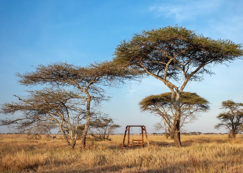 Mara Region Serengeti Facade