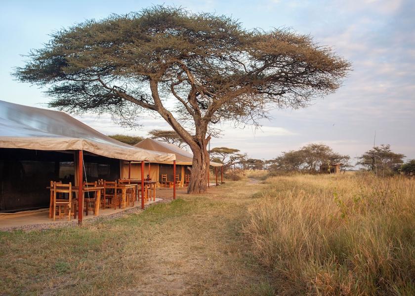 Mara Region Serengeti Exterior