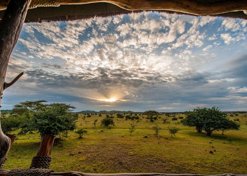 Mara Region Serengeti View from Property