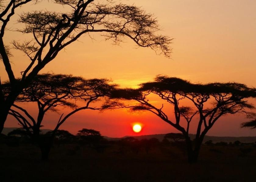 Mara Region Serengeti Exterior Detail