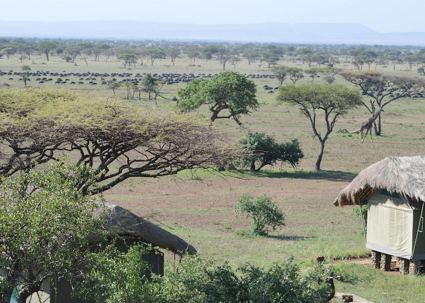 Mara Region Serengeti View from Property
