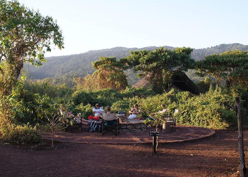 Arusha Region Ngorongoro Exterior Detail