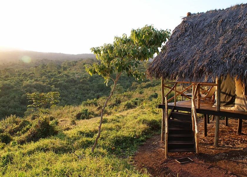 Arusha Region Ngorongoro Garden