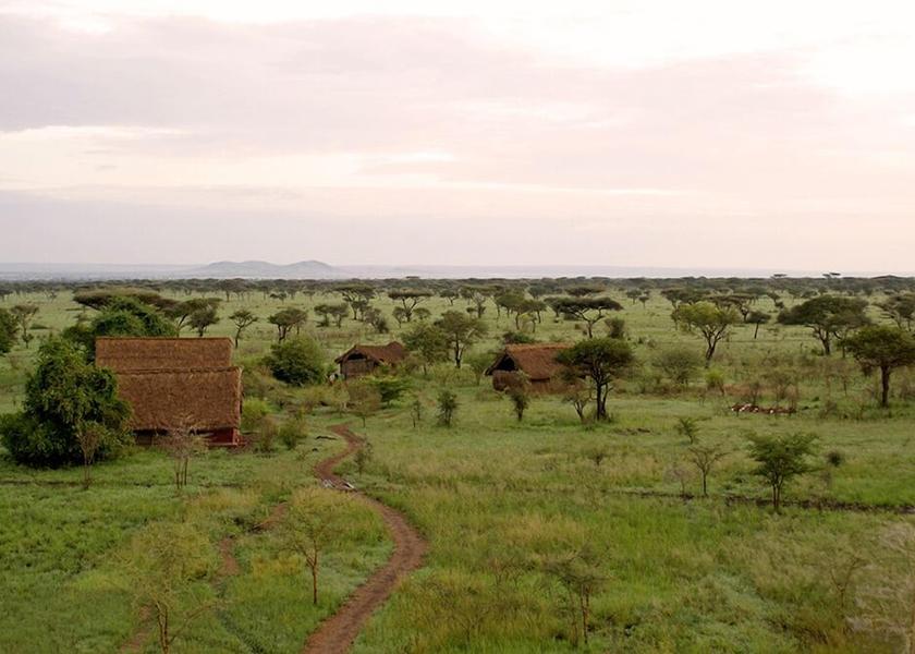 Mara Region Serengeti Garden