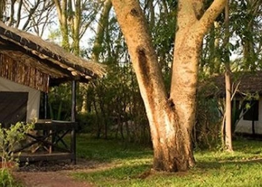  Lake Manyara National Park Facade