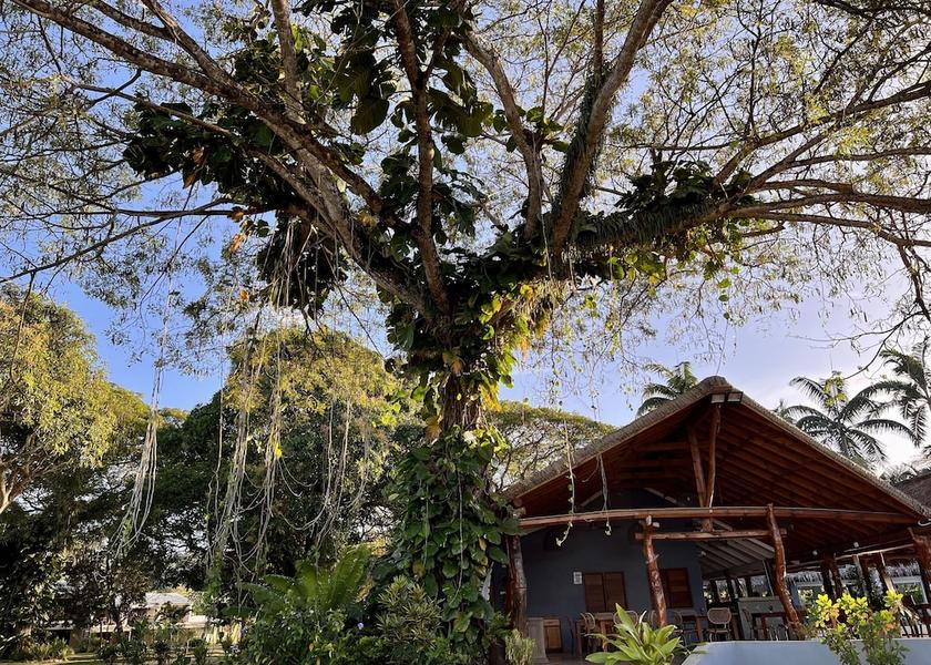 Shefa Port Vila Restaurant