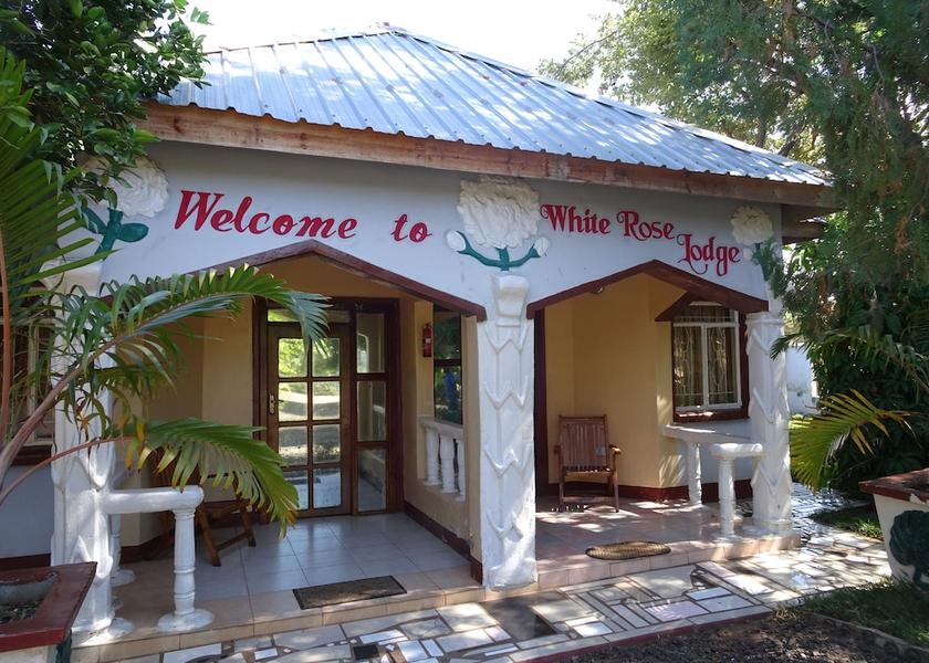  Livingstone Primary image