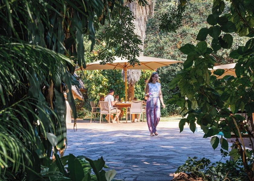  Victoria Falls Garden