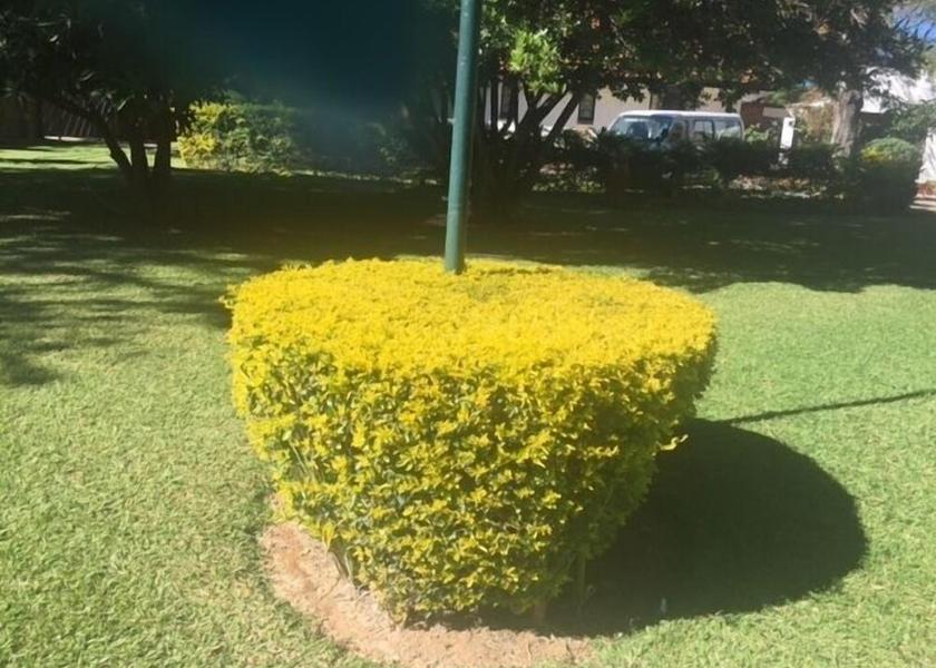  Bulawayo Exterior Detail