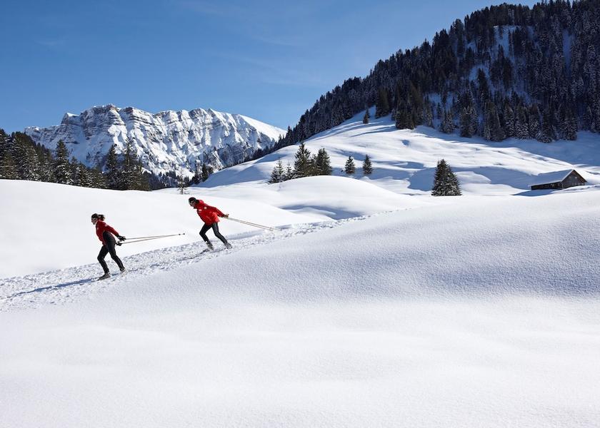 Vorarlberg Hittisau Snow and ski sports