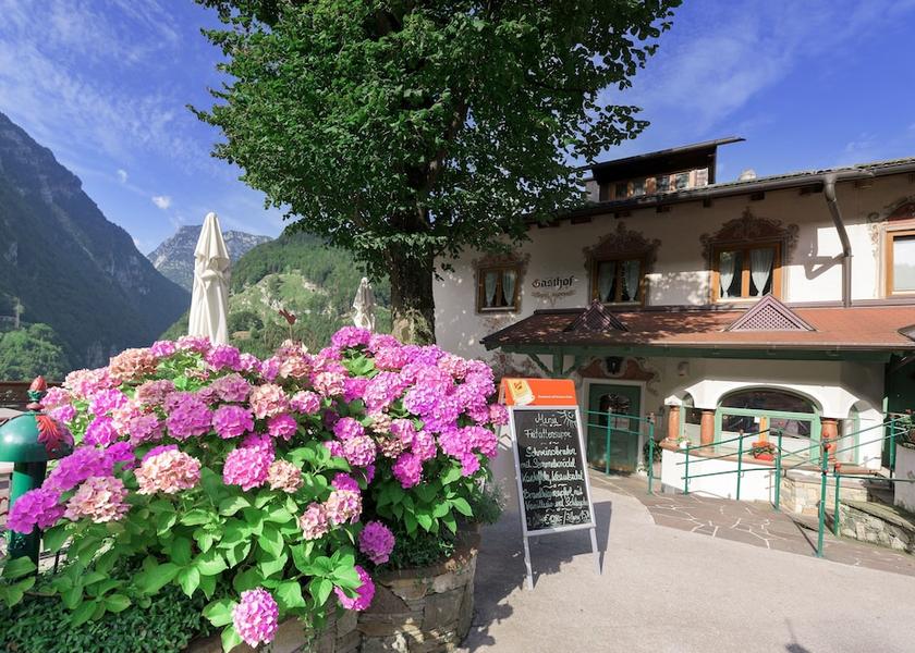 Salzburg State Golling an der Salzach Terrace
