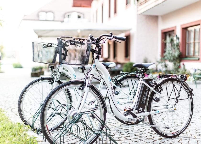 Salzburg State Eugendorf Bicycling