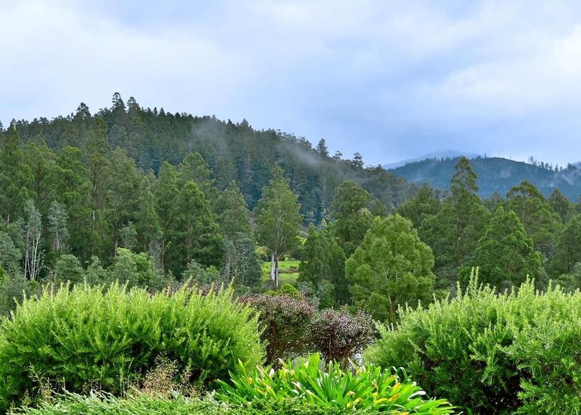 Tasmania Maydena Property Grounds