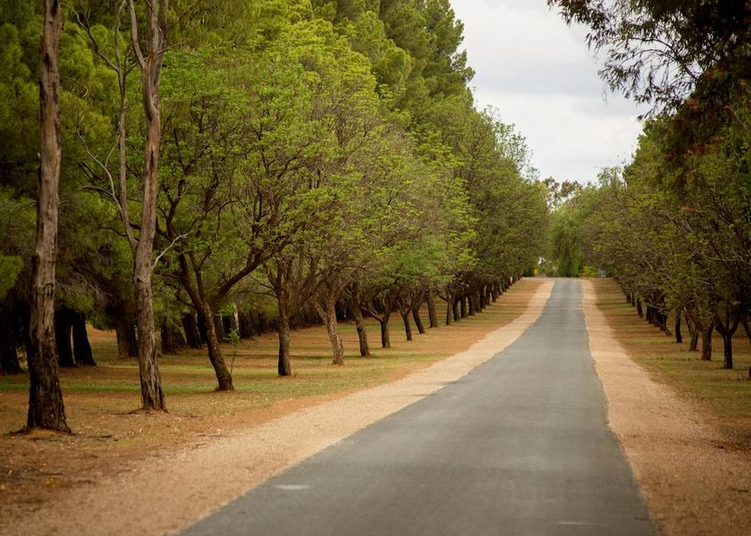 South Australia Old Calperum Property Grounds