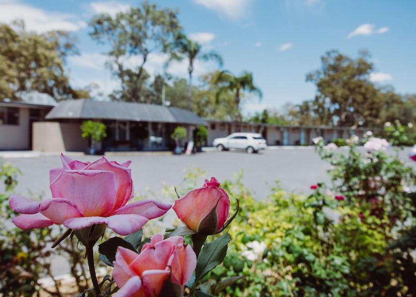 New South Wales Moree Parking