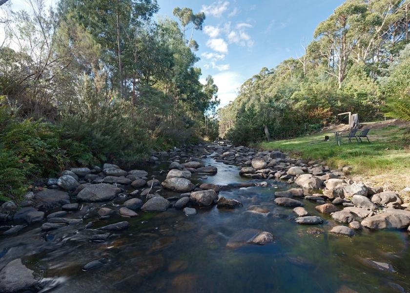 Tasmania Grove View from Property