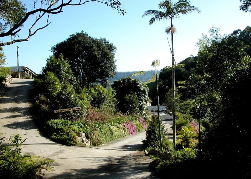 Queensland Bald Knob Property Grounds