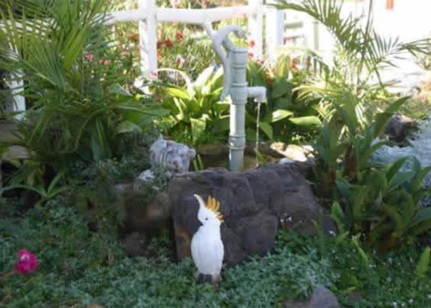 New South Wales Merimbula Garden