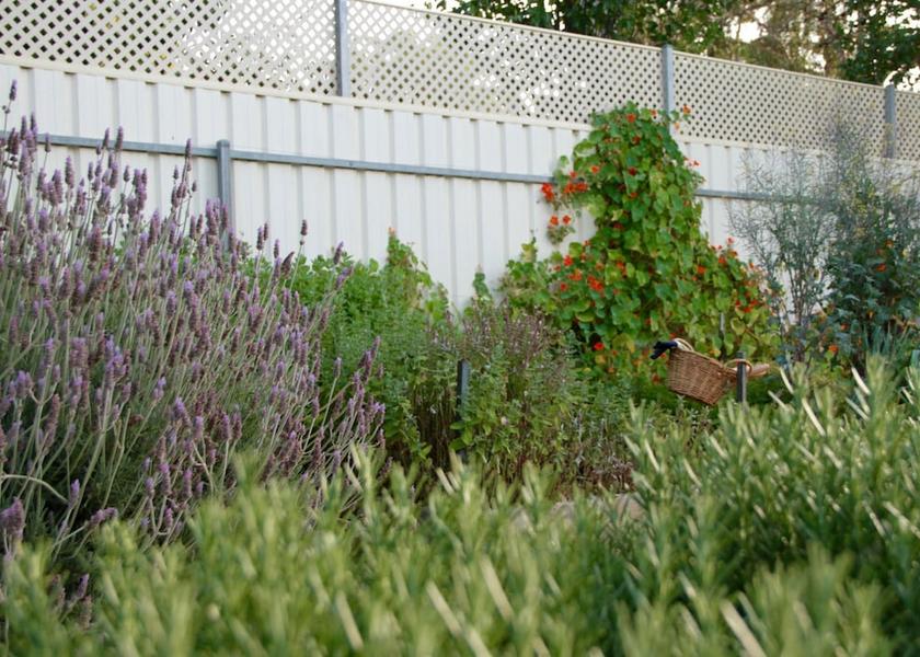 South Australia Adelaide Garden