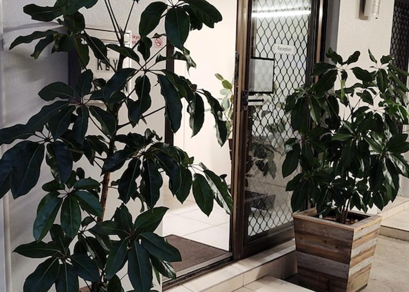 Queensland Sunshine Coast Reception