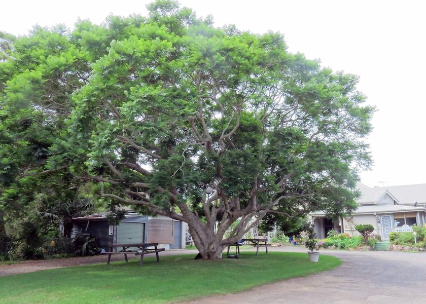 New South Wales North Narooma Property Grounds