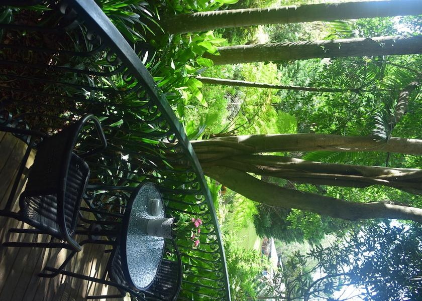 Queensland Tamborine Mountain Terrace