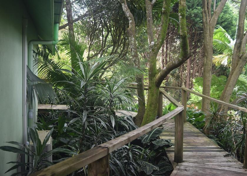 Queensland Tamborine Mountain Garden