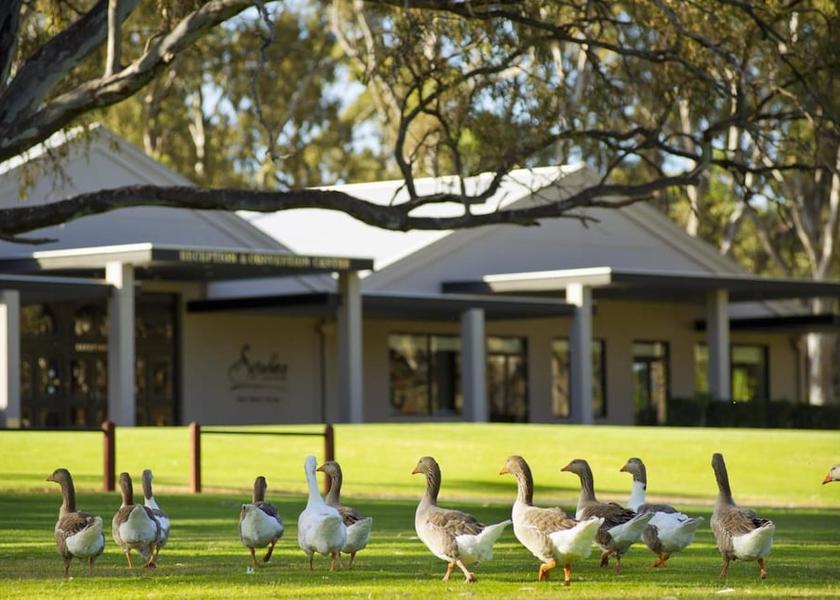 South Australia Adelaide Property grounds