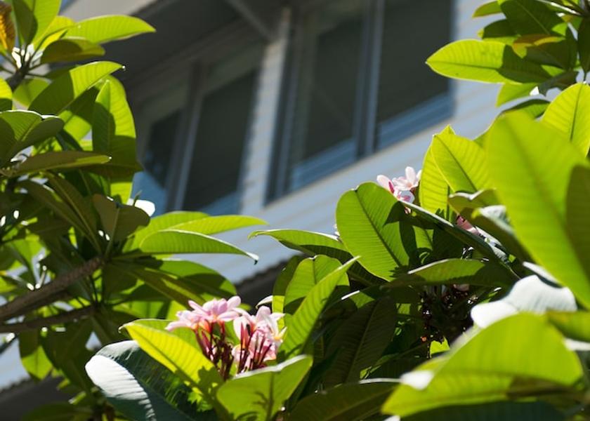 Queensland Airlie Beach Exterior Detail