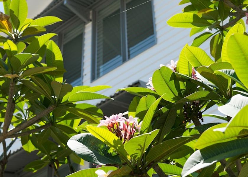 Queensland Airlie Beach Exterior Detail