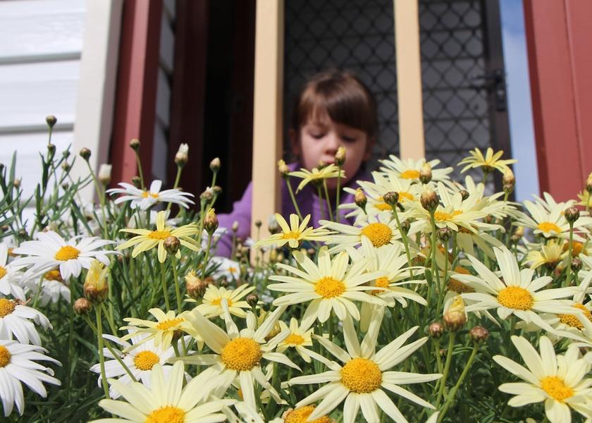 Victoria Warrnambool Garden
