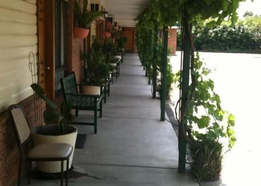 New South Wales Muswellbrook Terrace