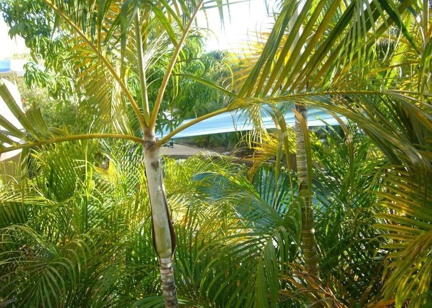 Queensland Cairns Property Grounds