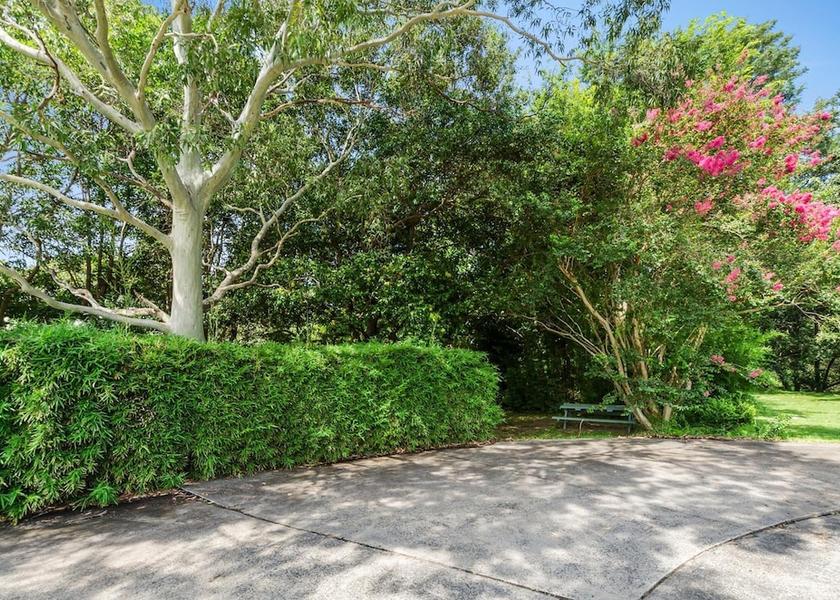 New South Wales Figtree Property Grounds