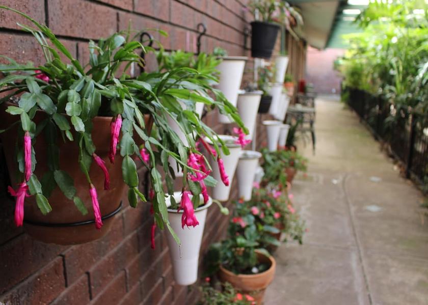 South Australia Adelaide Lobby