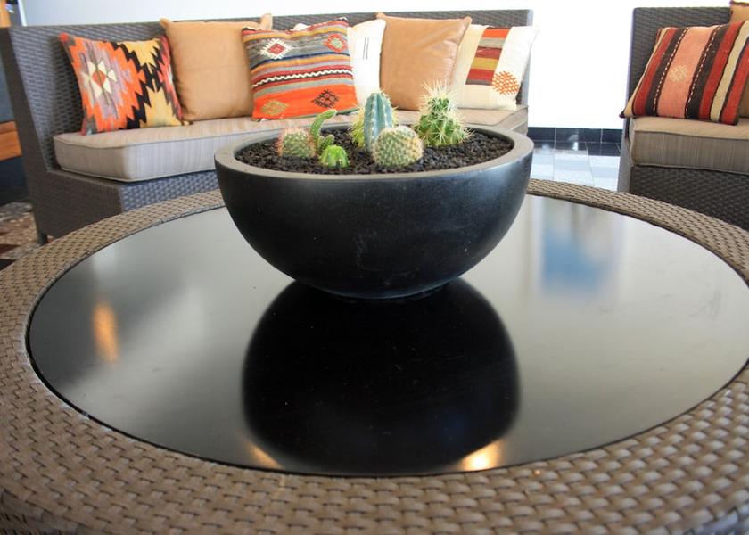 Queensland Westcourt Reception