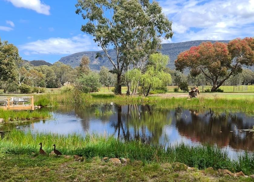 Victoria Halls Gap Front of property