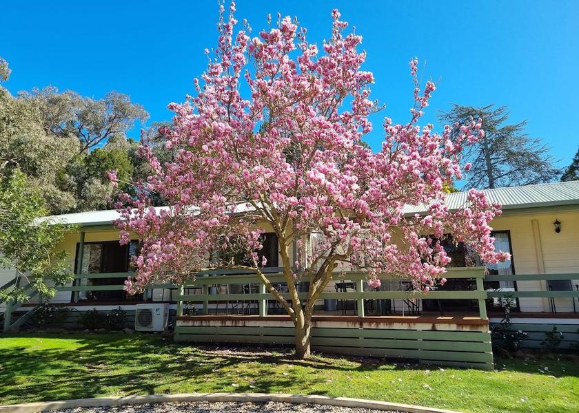 Victoria Beechworth Facade