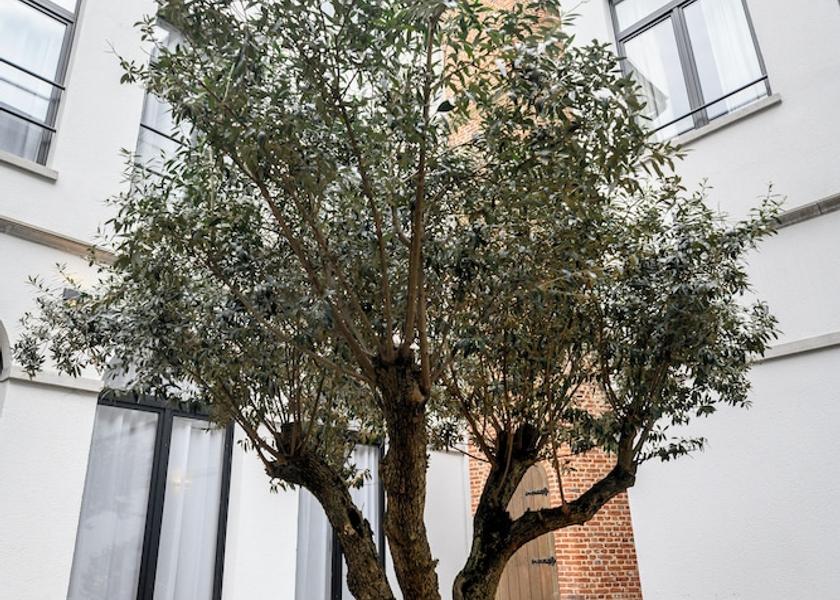 Flemish Region Antwerp Barbeque