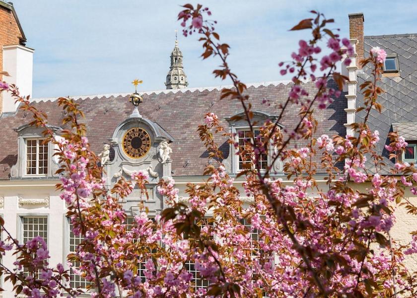 Flemish Region Antwerp Room