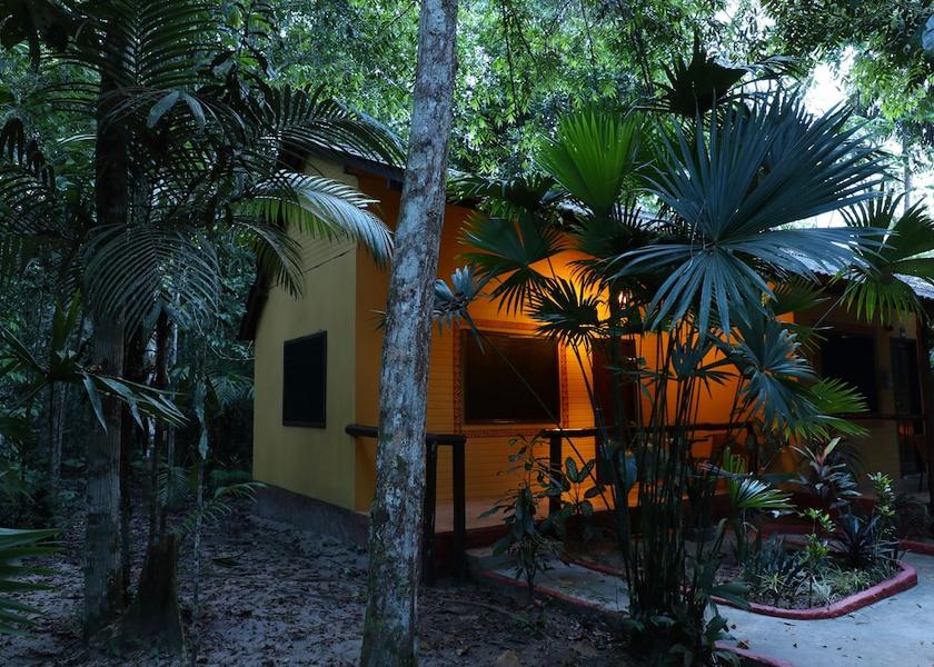 Amazonas Manaus View From Room