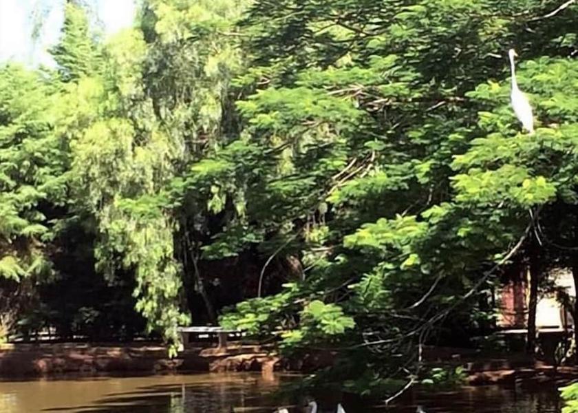 São Paulo State Avare Lake