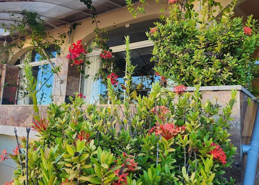 Ceará Aquiraz Garden view