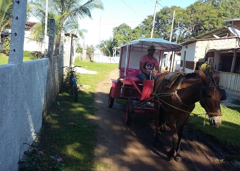 Pará Belém Exterior Detail