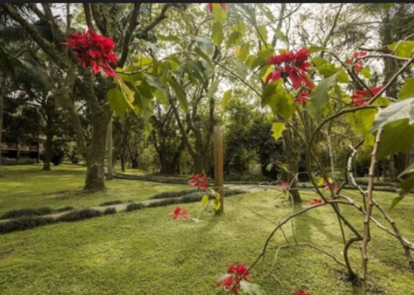 Santa Catarina Gravatal Garden