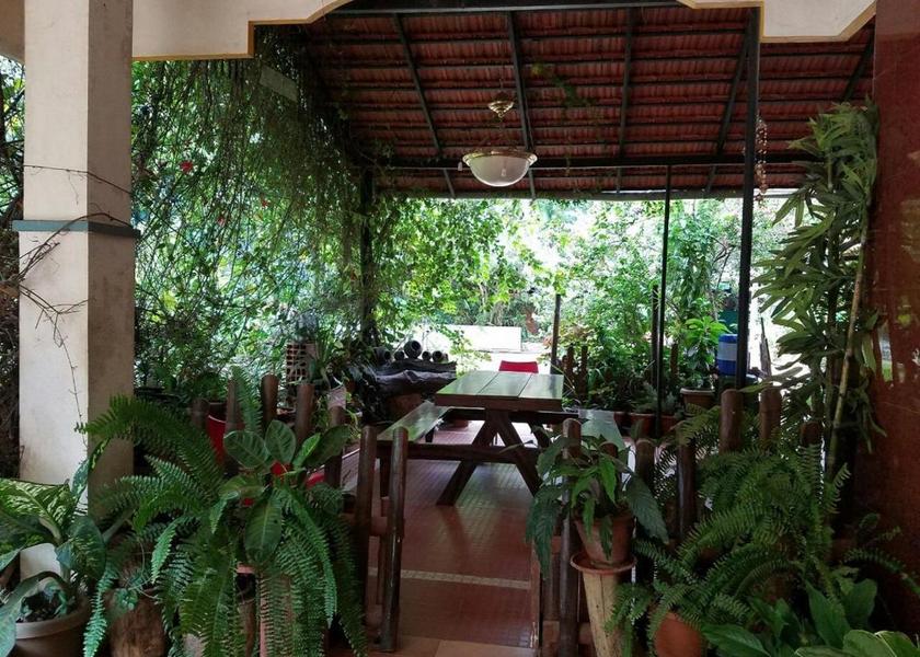 Karnataka Chikkamagaluru Garden