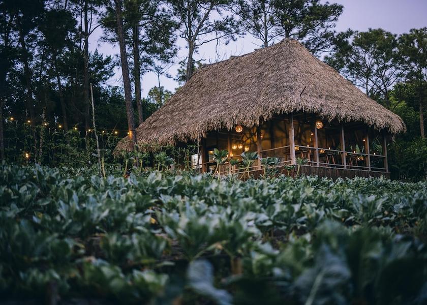 Cayo District Mountain Pine Ridge Restaurant